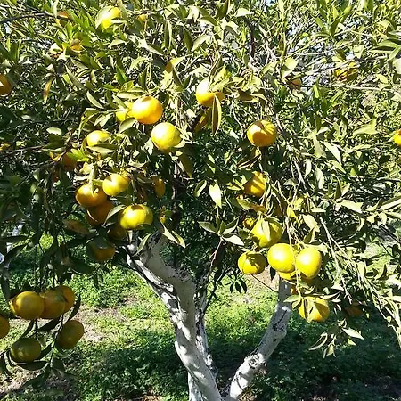 Balmahmut Asli Séjour chez l'habitant *