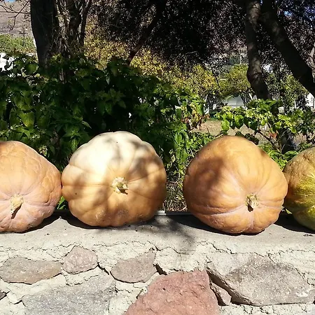 Séjour chez l'habitant Balmahmut Asli Akyarlar