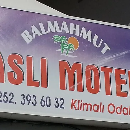 Séjour chez l'habitant Balmahmut Asli *