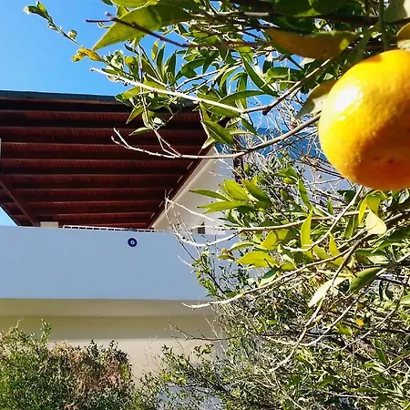 Séjour chez l'habitant Balmahmut Asli