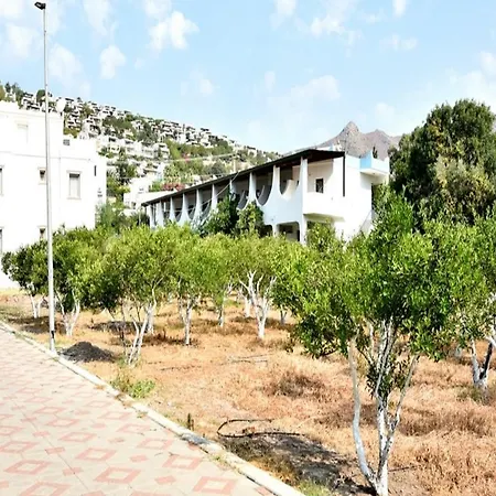 Homestay Balmahmut Asli *